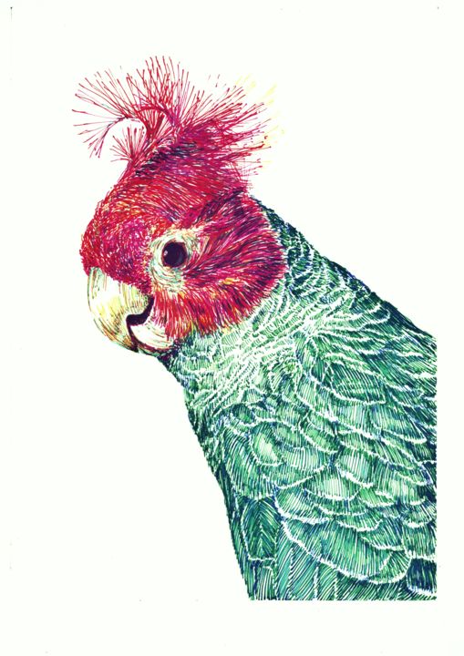 Dessin intitulée "A Handsome Parrot" par Borys Kuzenko, Œuvre d'art originale, Stylo à bille