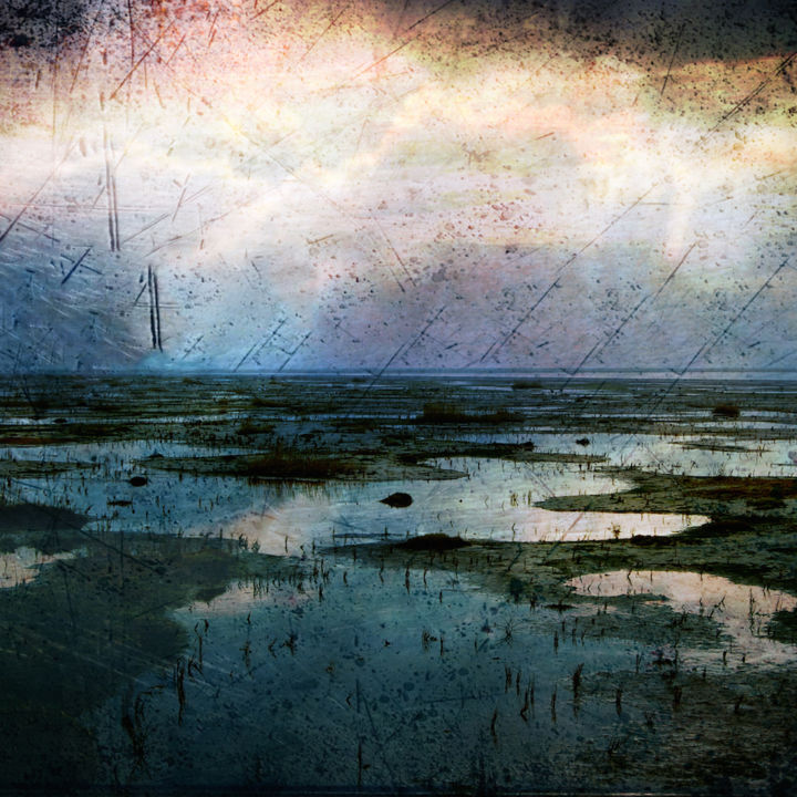 "Friesland shore" başlıklı Tablo Boris Novak tarafından, Orijinal sanat