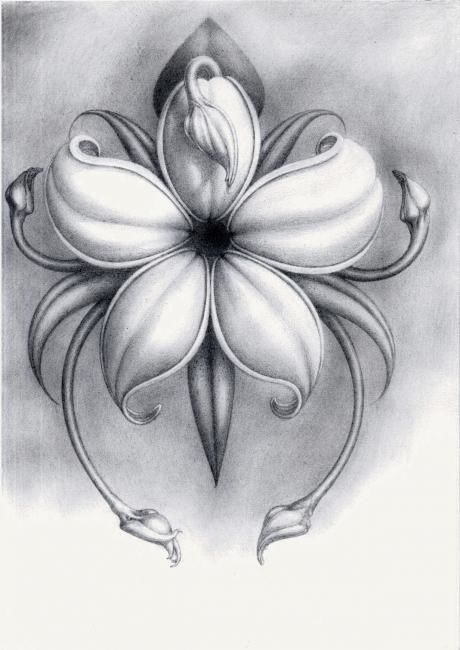 Drawing titled "Flower" by Boris Tupeiko, Original Artwork