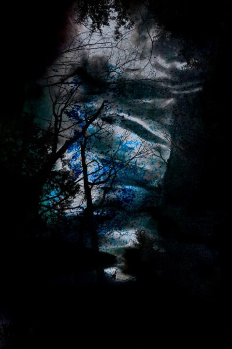 Photographie intitulée "BLue faces" par Borrel, Œuvre d'art originale, Photographie numérique Monté sur Carton