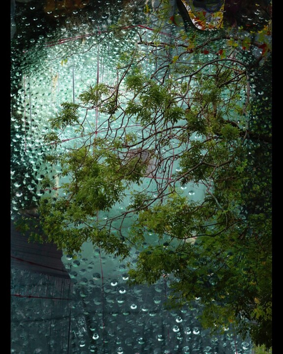 Photographie intitulée "Matrice Green" par Borrel, Œuvre d'art originale, Photographie numérique