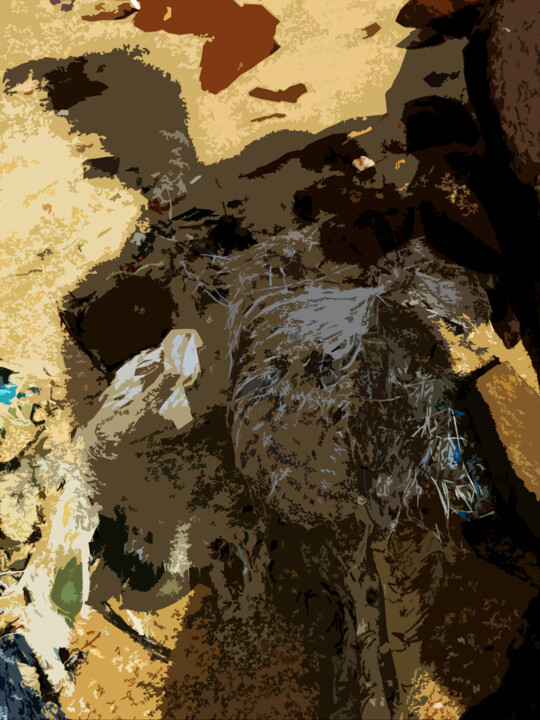 Фотография под названием "Matrice Ii" - Borrel, Подлинное произведение искусства, Цифровая фотография