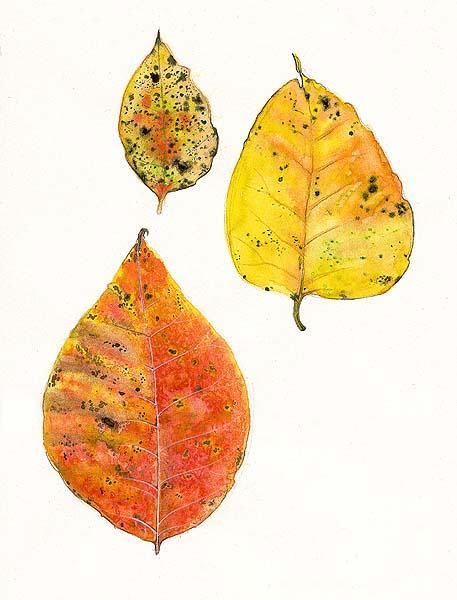 Painting titled "poison ivy leafs" by Kipik, Original Artwork
