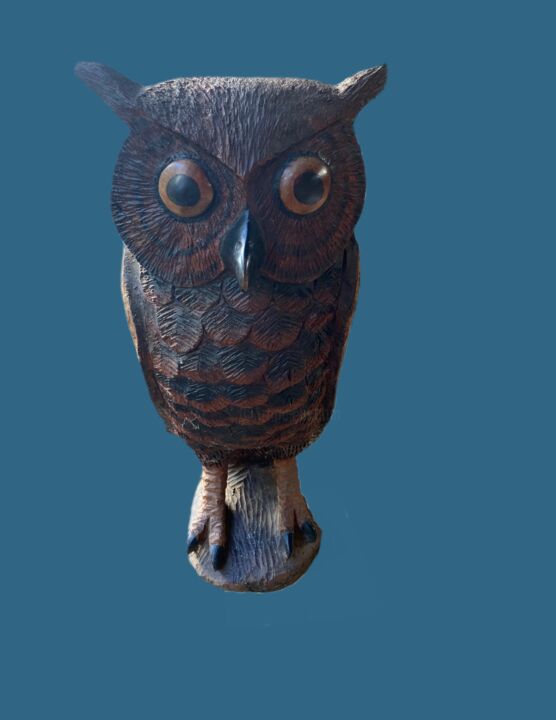 Scultura intitolato "Owl" da Boyce Ndlovu, Opera d'arte originale, Legno