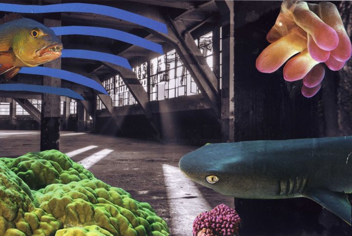 Collages intitulée "Aquarium 1/3 (Ciném…" par Boyfred, Œuvre d'art originale, Collages