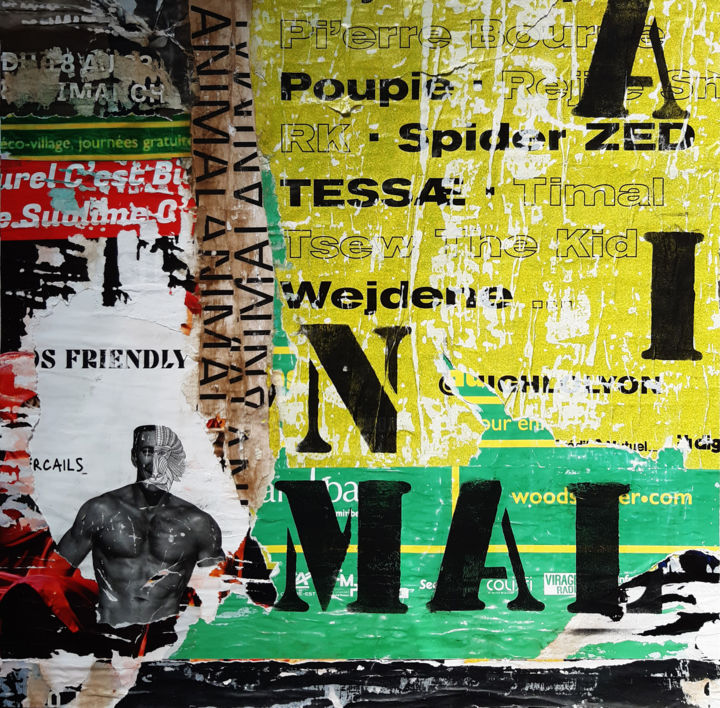 Collages titled "1 (Animal)" by Boyfred, Original Artwork, Collages