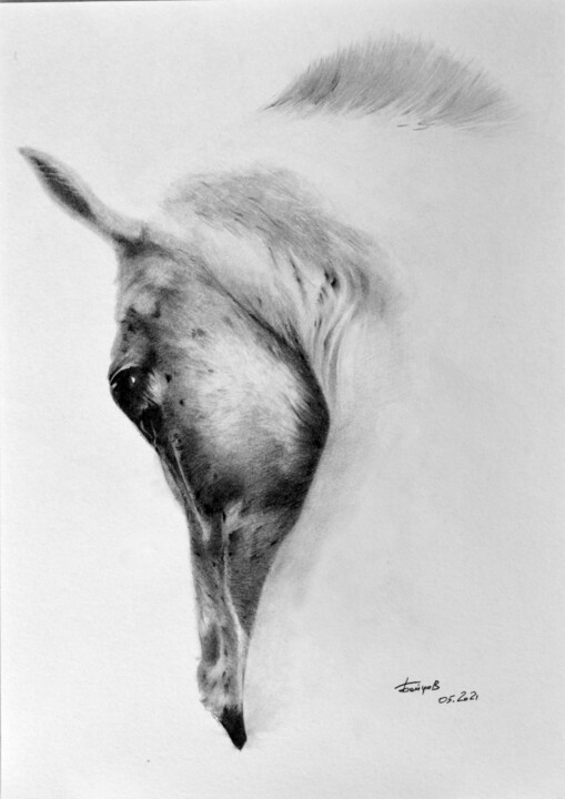 Drawing titled "Balesta. Inviting b…" by Boytsov, Original Artwork, Pencil