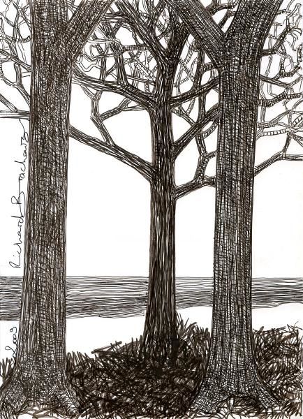 Drawing titled "D58-série des arbres" by Richard Brachais, Original Artwork, Other