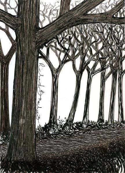 Drawing titled "D59-série des arbres" by Richard Brachais, Original Artwork, Other