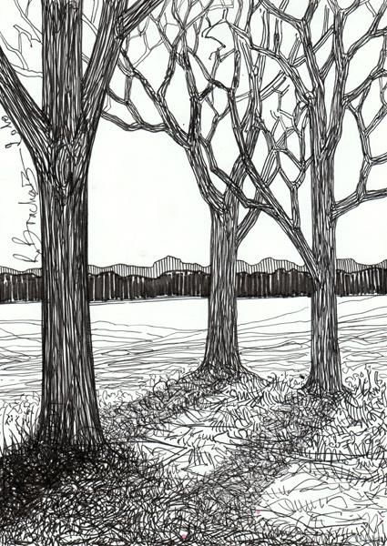 Dibujo titulada "D62-série des arbres" por Richard Brachais, Obra de arte original, Otro