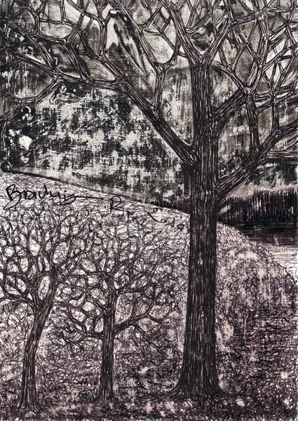 Dibujo titulada "D63-série des arbres" por Richard Brachais, Obra de arte original, Otro