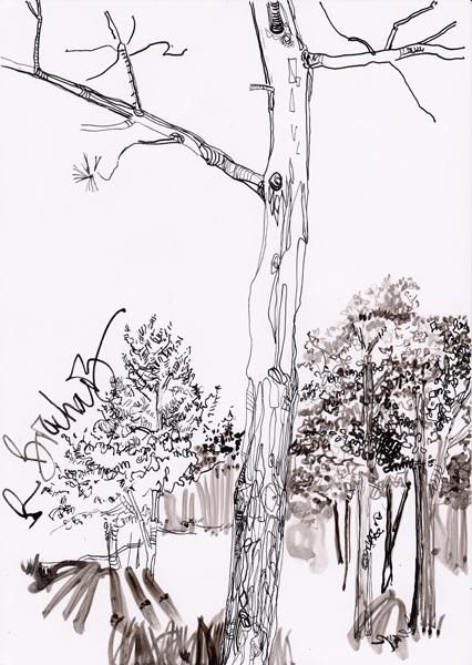 Σχέδιο με τίτλο "D66-série des arbres" από Richard Brachais, Αυθεντικά έργα τέχνης, Άλλος