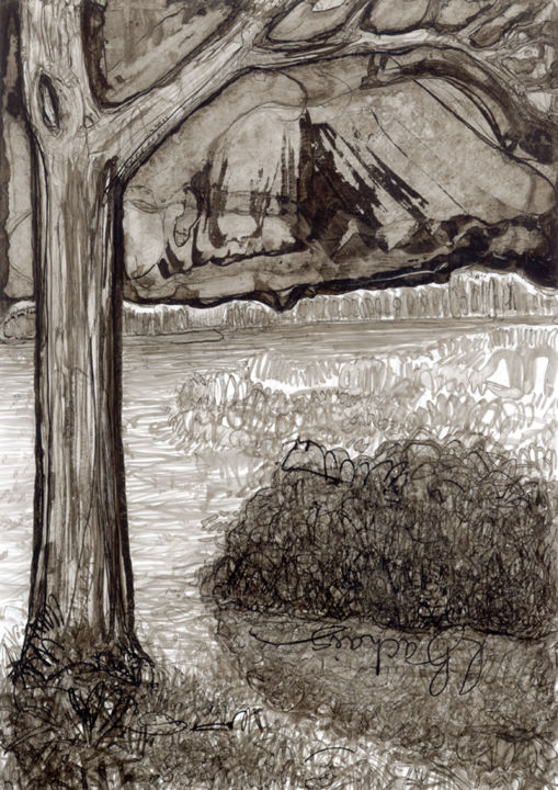 Dessin intitulée "d68-serie-des-arbre…" par Richard Brachais, Œuvre d'art originale