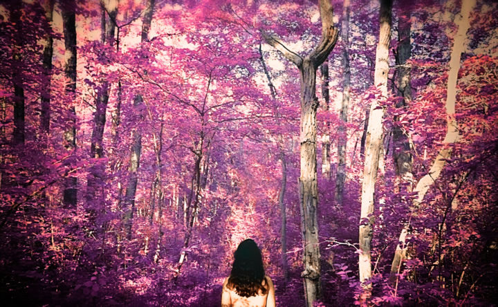 Photography titled "Head Into Forest" by Brandon Robles, Original Artwork, Digital Photography