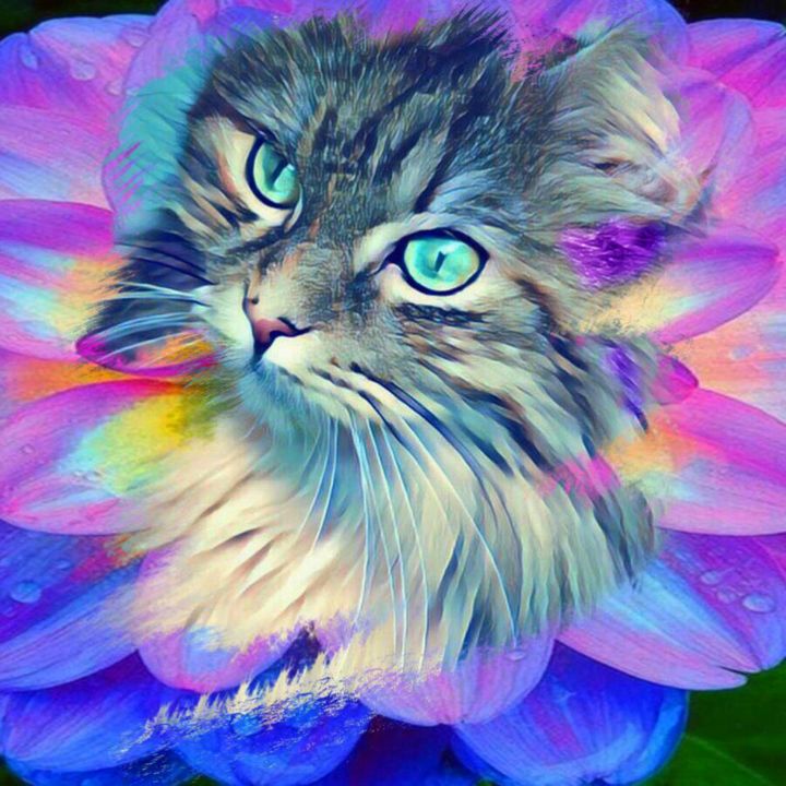 Digital Arts titled "Kitty Cat 2" by Beate Braß, Original Artwork, Digital Painting