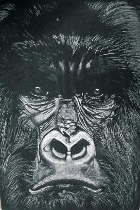 Drawing titled "Portrait du gorille" by Brenda Desnoulet, Original Artwork, Pencil
