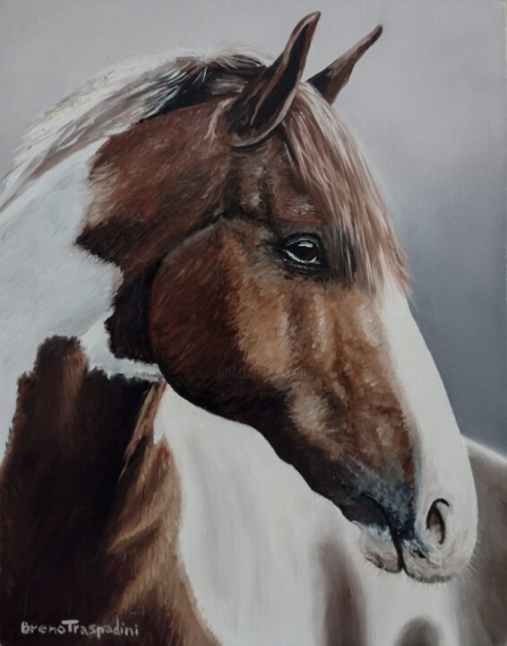 Painting titled "O Cavalo" by Breno Chieppe Traspadini, Original Artwork, Oil Mounted on Wood Stretcher frame