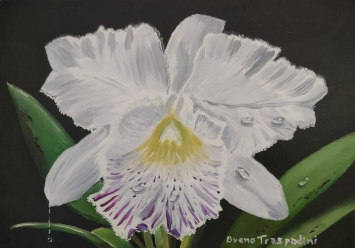 Painting titled "Orquídea" by Breno Chieppe Traspadini, Original Artwork, Oil Mounted on Wood Stretcher frame