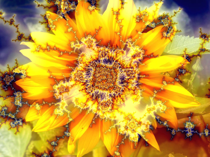 Digital Arts titled "flowering-sun.jpg" by Brian Exton, Original Artwork