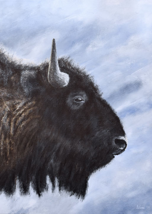 Painting titled "Buffalo Portrait" by Brian Sloan, Original Art, Acrylic