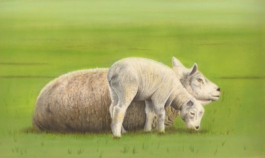 Peinture intitulée "Ewe and Lamb" par Brian Smalley, Œuvre d'art originale
