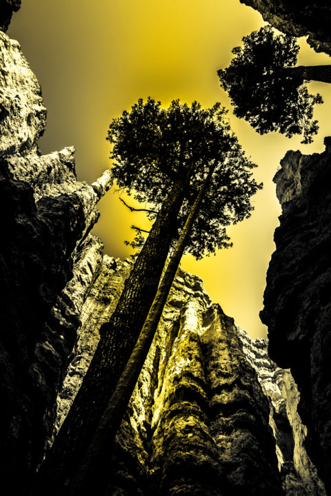 Photography titled "Bryce Canyon - Limi…" by Brice Bourgois, Original Artwork