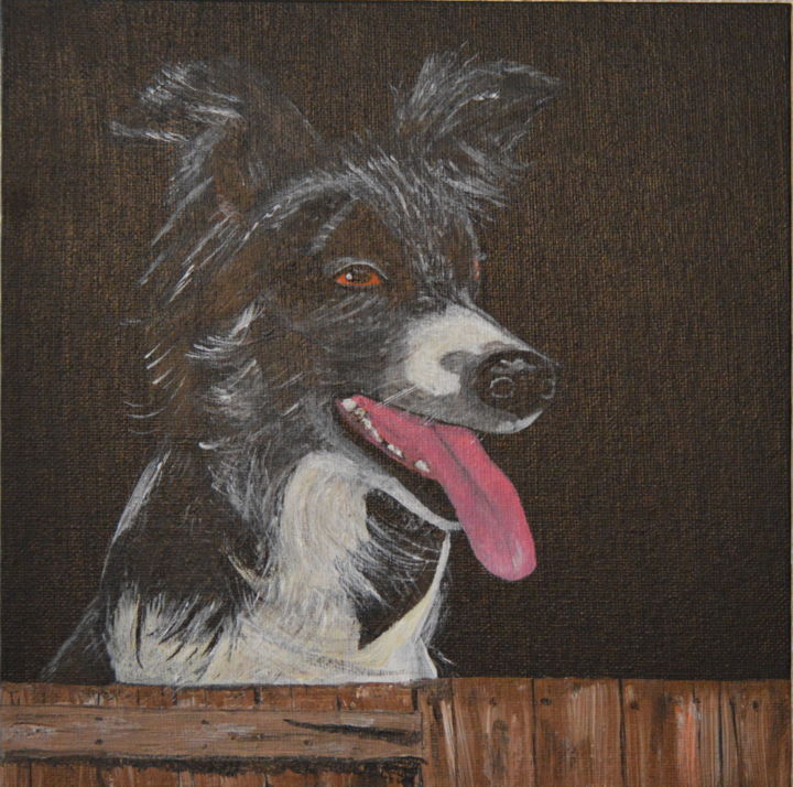 Peinture intitulée "Border collie" par Brigitte Didier (Biche), Œuvre d'art originale, Acrylique