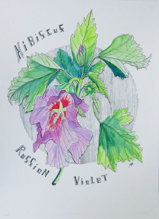 제목이 "Hibiscus"인 그림 Brigitte Mathé (MBL)로, 원작, 수채화