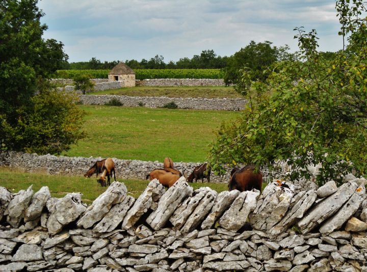 Photography titled "Paysage du Quercy" by Brigitte Mathé (MBL), Original Artwork