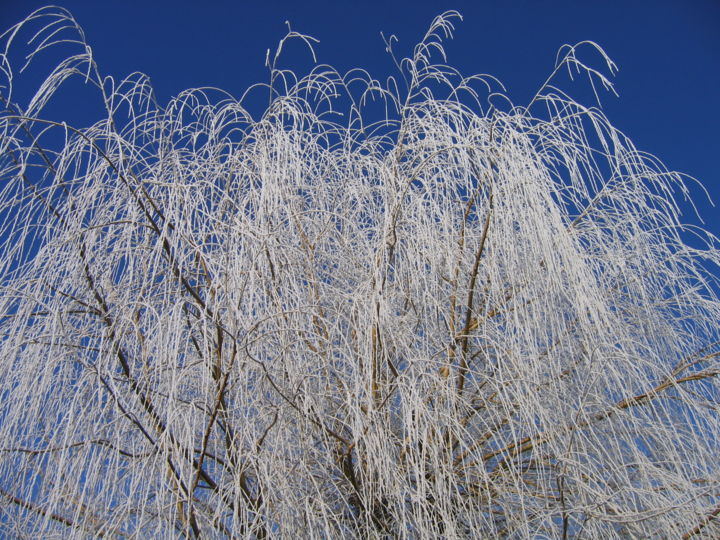 Photography titled "Pluie de givre, col…" by Brigitte Mathé (MBL), Original Artwork