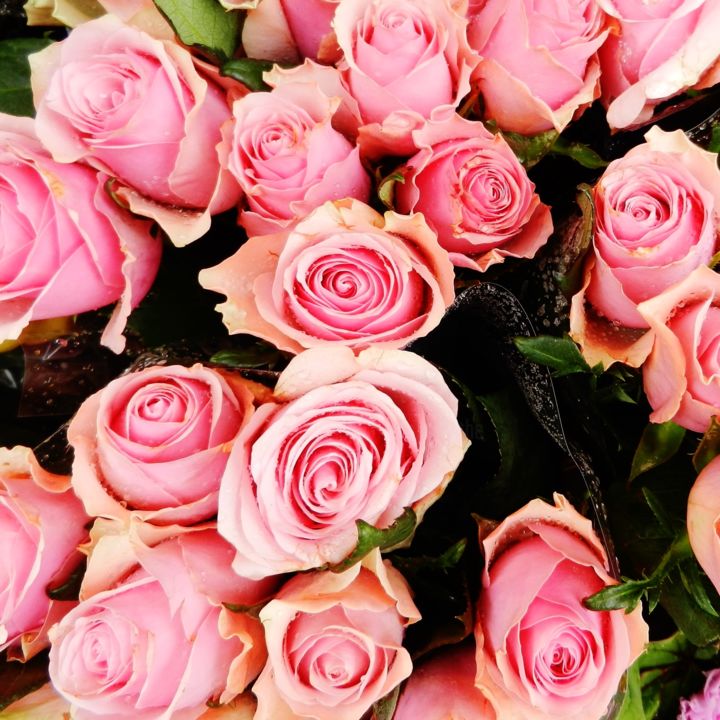 Photographie intitulée "Pink Roses 2" par Brigitte Mathé (MBL), Œuvre d'art originale