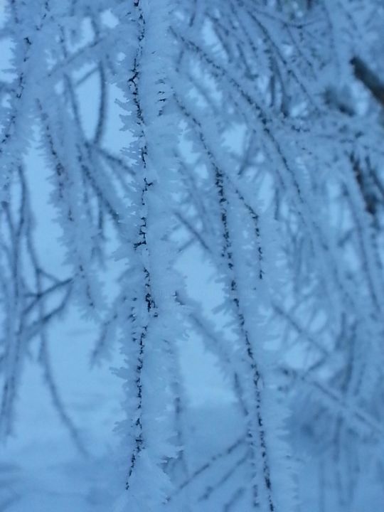 Photographie intitulée "Parure de neige,  C…" par Brigitte Mathé (MBL), Œuvre d'art originale