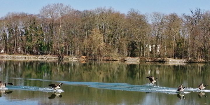 Photographie intitulée "Atterrissage de Ber…" par Brigitte Mathé (MBL), Œuvre d'art originale