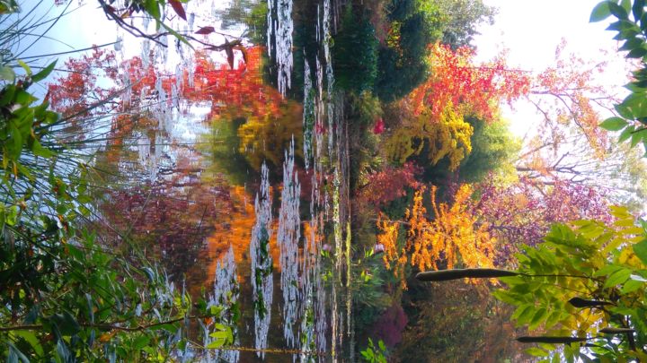 Photographie intitulée "Reflets d'automne à…" par Brigitte Mathé (MBL), Œuvre d'art originale