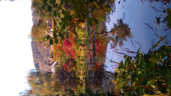 Photographie intitulée "L'étang de Monet Gi…" par Brigitte Mathé (MBL), Œuvre d'art originale