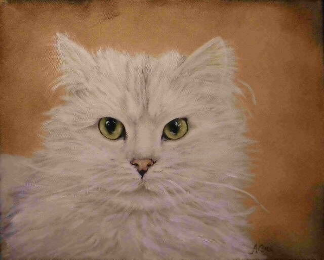 Painting titled "Chat blanc" by Brigitte Nellissen (Ster), Original Artwork, Oil