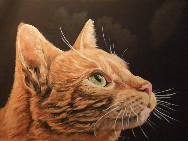 Peinture intitulée "chat roux" par Brigitte Nellissen (Ster), Œuvre d'art originale, Huile
