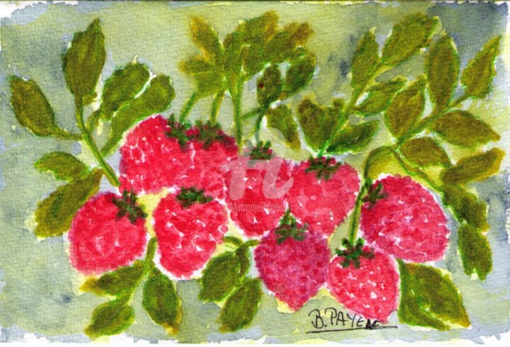 Peinture intitulée "AQUARELLE FRAMBOISES" par Brigitte Payen (B.PAYEN), Œuvre d'art originale, Aquarelle