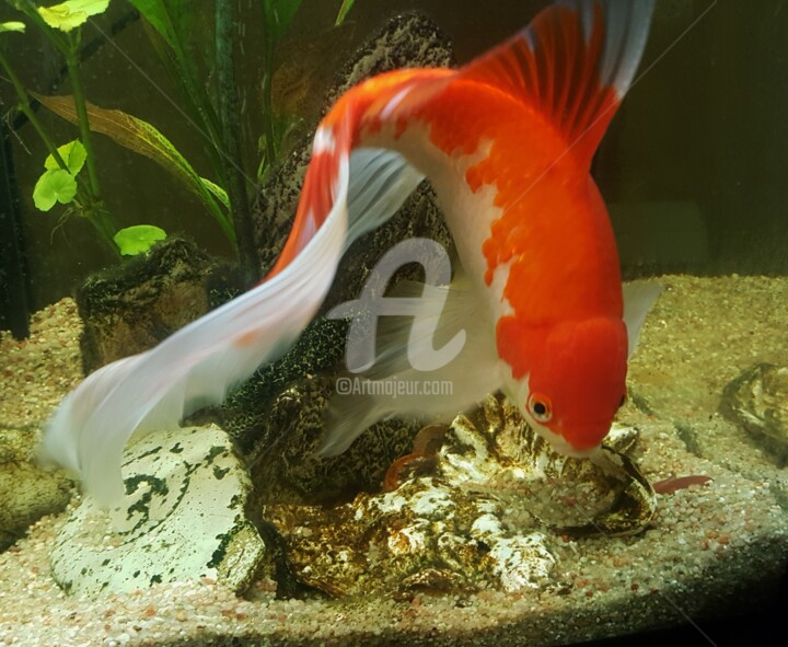 Poisson Dans Un Petit Aquarium Image Générée Par IA Banque D