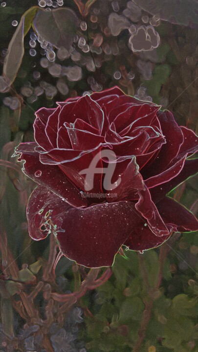Photography titled "rose-baccara-graphi…" by Brigitte Payen (B.PAYEN), Original Artwork