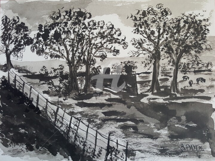 Drawing titled "PAYSAGE CAMPAGNARD" by Brigitte Payen (B.PAYEN), Original Artwork, Ink