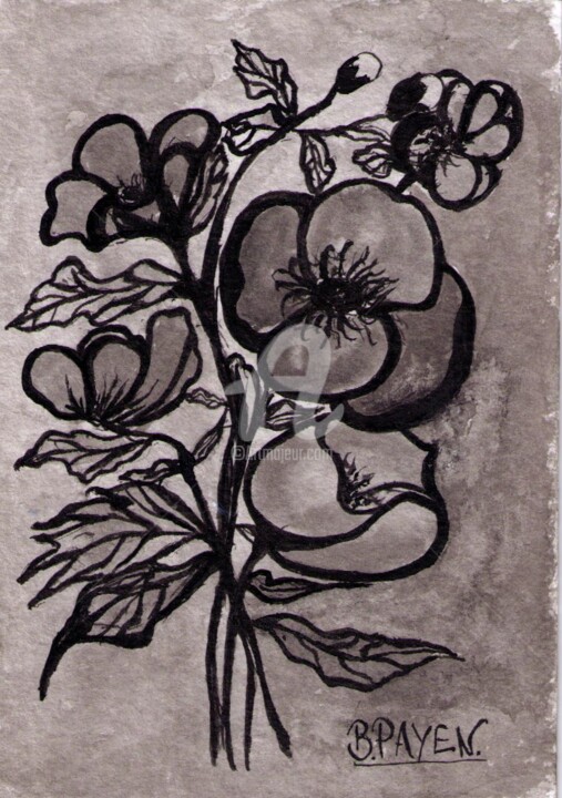 Desenho intitulada "fleurs à l'encre de…" por Brigitte Payen (B.PAYEN), Obras de arte originais, Tinta