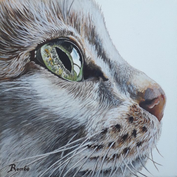 Painting titled "Profil chat aux yeu…" by Brigitte Roméo, Original Artwork, Acrylic