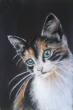 Painting titled "Another Cat" by Brigitte Kohlhepp, Original Artwork