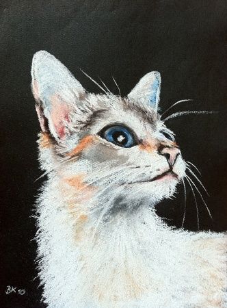 Pintura intitulada "Kitty" por Brigitte Kohlhepp, Obras de arte originais
