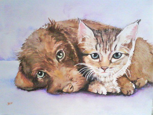 Painting titled "Dog and Cat" by Brigitte Kohlhepp, Original Artwork