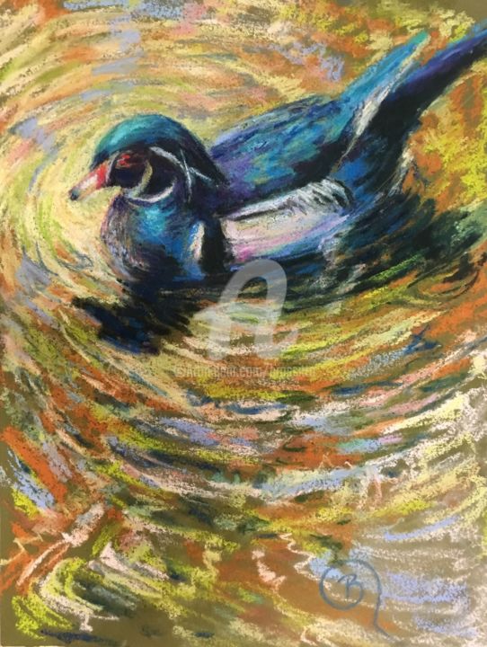 Painting titled "Wood Duck reflectio…" by B.Rossitto, Original Artwork, Pastel