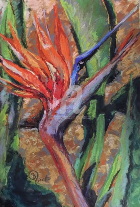 Painting titled "Bird of Paradise" by B.Rossitto, Original Artwork, Other