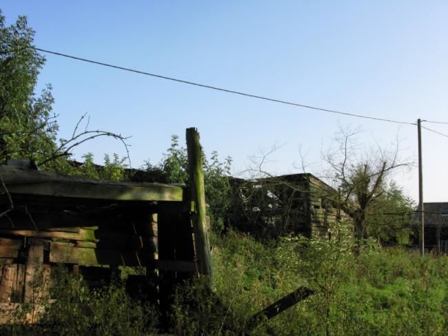 Photography titled "Treasured Sheds" by Brother Phil, Original Artwork