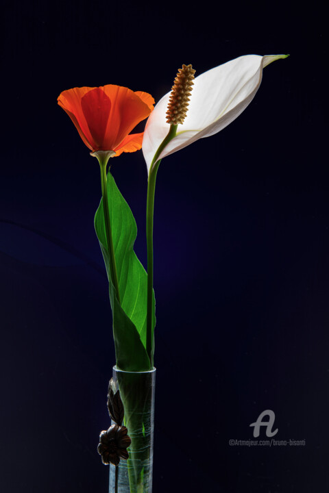 Фотография под названием "Le Spathiphyllum et…" - Bruno Bisanti, Подлинное произведение искусства, Цифровая фотография